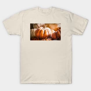 Pumpkins Pumpkins T-Shirt